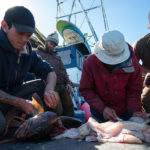 2013, ALASKA, HOMER, KEITH MALLOY, CHRIS MALLOY, CHRISTIAN BEAMISH, SURF