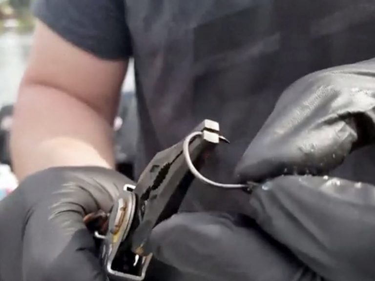 How to Rig a Cut Plug Herring for Salmon Fishing Gerber Blog